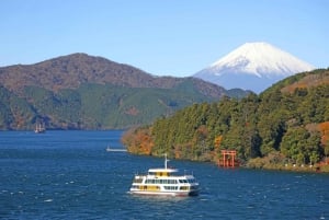 Tokio: Hakone, góra Fuji, rejs, kolejka linowa, lunch, Shinkansen