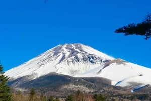Tokio: Hakone, góra Fuji, rejs, kolejka linowa, lunch, Shinkansen