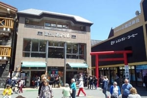 Tokio: Hakone, góra Fuji, rejs, kolejka linowa, lunch, Shinkansen