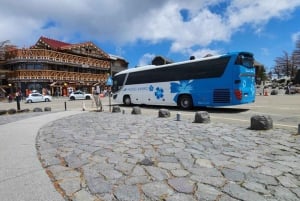 Tokio: Hakone, góra Fuji, rejs, kolejka linowa, lunch, Shinkansen