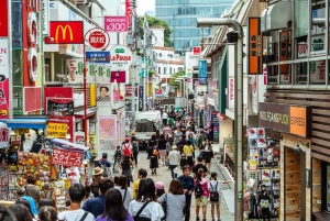 Tokyo: Half-Day Afternoon Small Group Tour