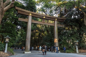 Tokyo: Half-Day Afternoon Small Group Tour