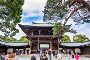 Tokyo: Half-Day Afternoon Small Group Tour