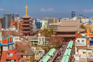 Tokyo - en halvdag Halvdagsutflykt på morgonen i liten grupp