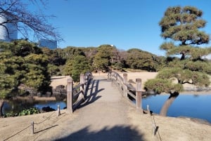 Tokyo: Tour guidato del Giardino Hama-rikyu con biglietto d'ingresso