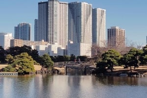 Tokyo: Tour guidato del Giardino Hama-rikyu con biglietto d'ingresso