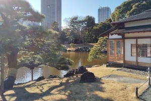 Tokyo: Tour guidato del Giardino Hama-rikyu con biglietto d'ingresso