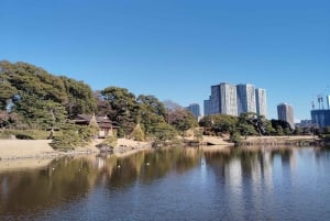 Tokyo: Tour guidato del Giardino Hama-rikyu con biglietto d'ingresso