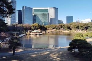 Tokyo: Tour guidato del Giardino Hama-rikyu con biglietto d'ingresso