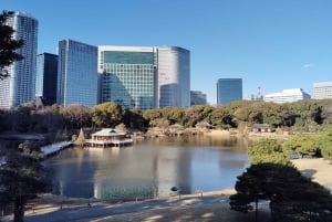 Tokyo: Tour guidato del Giardino Hama-rikyu con biglietto d'ingresso