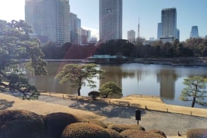 Tokyo: Tour guidato del Giardino Hama-rikyu con biglietto d'ingresso