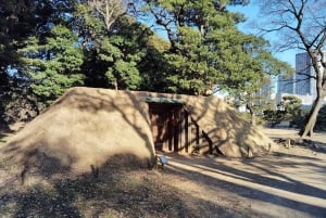 Tokyo: Tour guidato del Giardino Hama-rikyu con biglietto d'ingresso