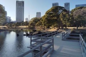 Tokyo: Tour guidato del Giardino Hama-rikyu con biglietto d'ingresso