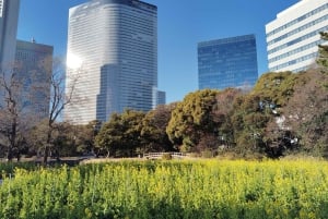Tokyo: Tour guidato del Giardino Hama-rikyu con biglietto d'ingresso