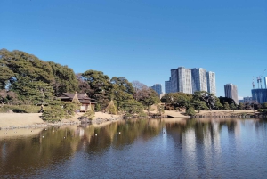 Tokio: Hama-rikyu Garden opastettu kiertoajelu pääsylipun kanssa