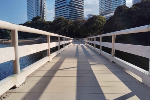 Tokio: Hama-rikyu Garden opastettu kiertoajelu pääsylipun kanssa