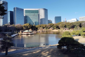Tokio: Hama-rikyu Garden opastettu kiertoajelu pääsylipun kanssa
