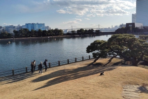 Tokio: Hama-rikyu Garden opastettu kiertoajelu pääsylipun kanssa