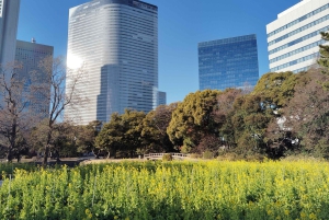 Tokio: Hama-rikyu Garden opastettu kiertoajelu pääsylipun kanssa