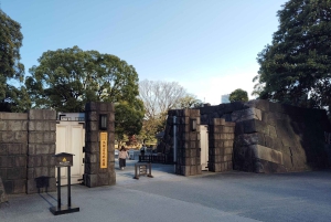 Tokio: Hama-rikyu Garden opastettu kiertoajelu pääsylipun kanssa