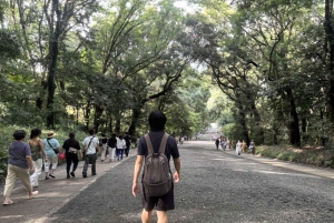 Tokyo: Privat tur til Meiji-helligdommen og høydepunkter i Harajuku