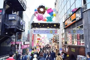 Tokyo: Privat tur til Meiji-helligdommen og høydepunkter i Harajuku