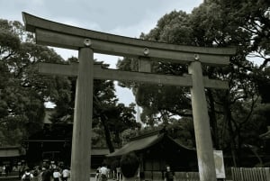 Tokyo: Privat tur til Meiji-helligdommen og høydepunkter i Harajuku