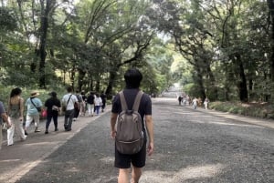 Tokyo: Privat tur til Meiji-helligdommen og høydepunkter i Harajuku