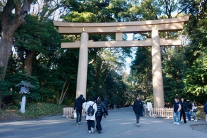 Tokyo: Harajuku Meiji Shrine 1h walking Explanation Tour