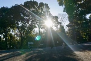 Tokyo: Harajuku Meiji Shrine 1h walking Explanation Tour