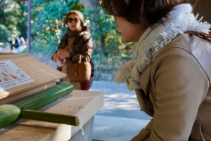 Tokyo: Harajuku Meiji Shrine 1h walking Explanation Tour