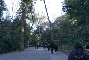 Tokyo: Harajuku Meiji Shrine 1h walking Explanation Tour