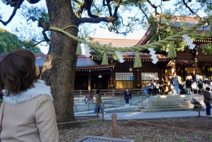 Tokyo: Harajuku Meiji Shrine 1h walking Explanation Tour