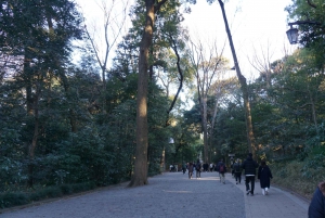 Tokyo: Harajuku Meiji Shrine 1h walking Explanation Tour