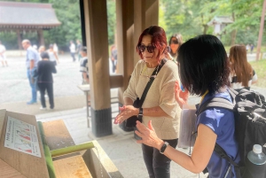 Tokyo: Harajuku Meiji Shrine 1h walking Explanation Tour