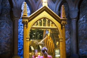 Tokyo: Harry Potter Studio Tour & Optional Tokyo Metro Pass