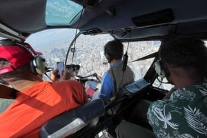 Tokyo: Helikoptertur med lunsj