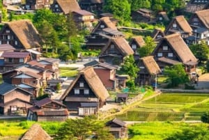 Tokyo: Dagsudflugt til Hida Takayama og Shirakawa-go med guide