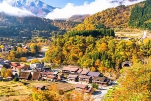 Tokyo: Dagsudflugt til Hida Takayama og Shirakawa-go med guide