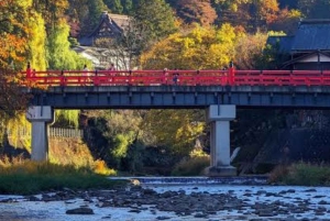 Tokyo: Dagsutflykt till Hida Takayama och Shirakawa-go med guide