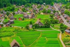 Tokyo: Dagsutflykt till Hida Takayama och Shirakawa-go med guide