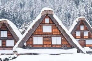 Tokyo: Dagsutflykt till Hida Takayama och Shirakawa-go med guide