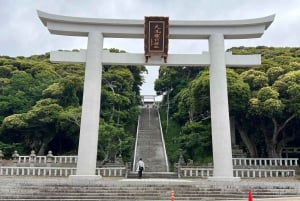 Tokyo: Hitachi seaside Park/Oarai isosaki shrine privat tur