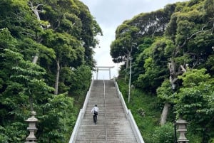 Tokyo: Hitachi seaside Park/Oarai isosaki shrine privat tur