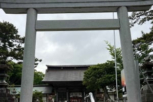 Tokyo: Hitachi seaside Park/Oarai isosaki shrine privat tur