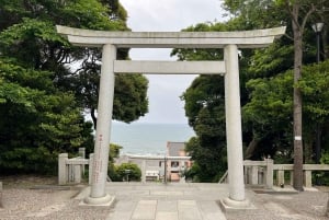 Tokyo: Hitachi seaside Park/Oarai isosaki shrine privat tur