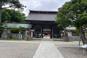 Tokyo: Hitachi seaside Park/Oarai isosaki shrine privat tur