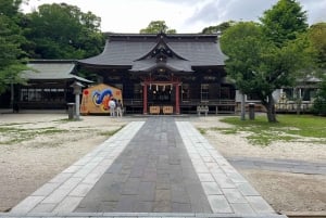 Tokyo: Hitachi seaside Park/Oarai isosaki shrine privat tur