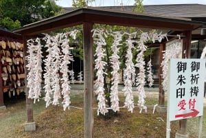 Tokyo: Hitachi seaside Park/Oarai isosaki shrine privat tur