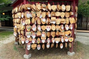 Tokyo: Hitachi seaside Park/Oarai isosaki shrine privat tur